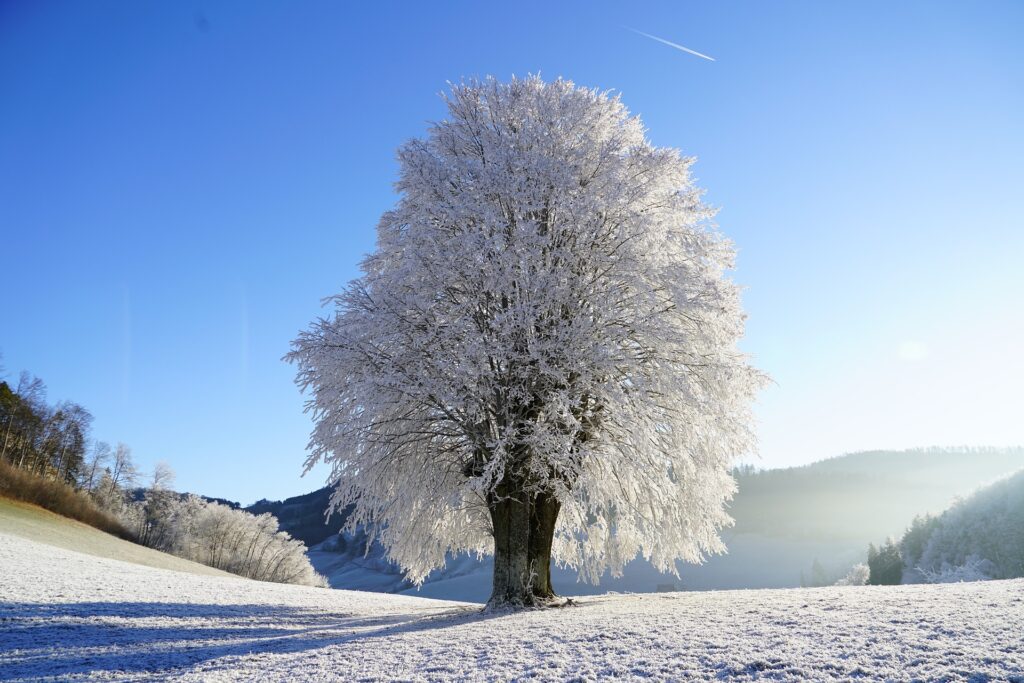 Waarom Vitamine D Slikken in de Winter Essentieel is voor Je Gezondheid